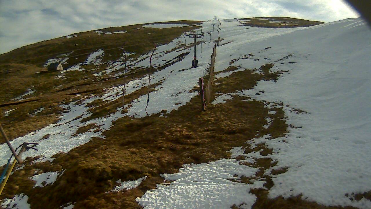 Latest image from 2021/03 for Tow Hut