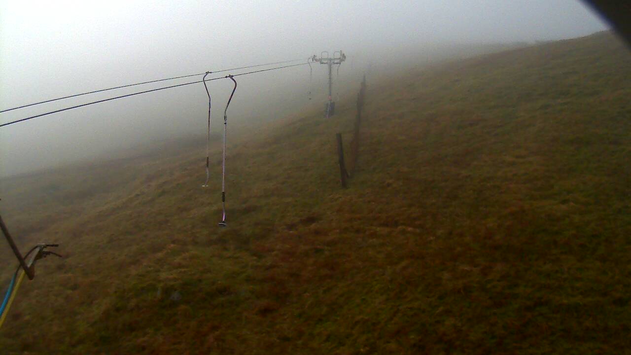 Image from 2021/11/23 for Tow Hut