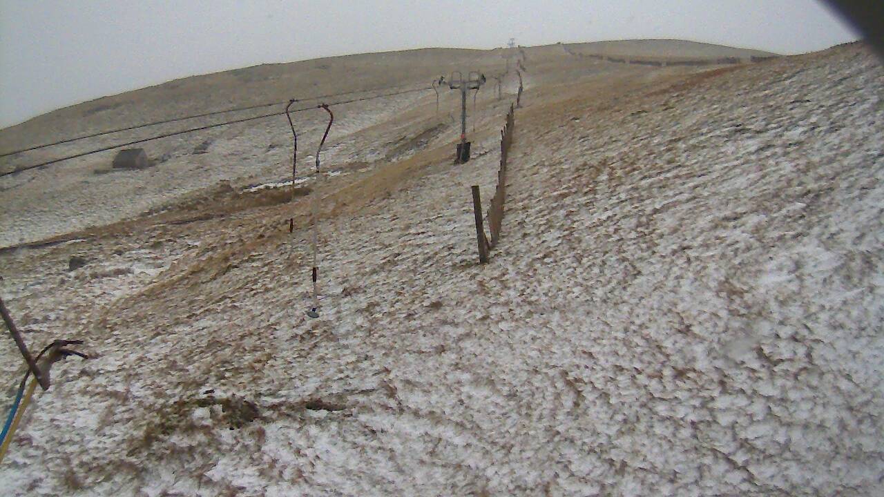 Image from 2021/11/28 for Tow Hut