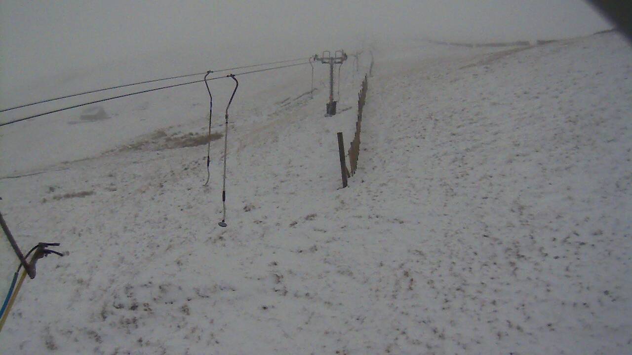 Image from 2021/11/28 for Tow Hut