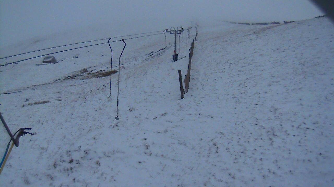 Image from 2021/11/28 for Tow Hut