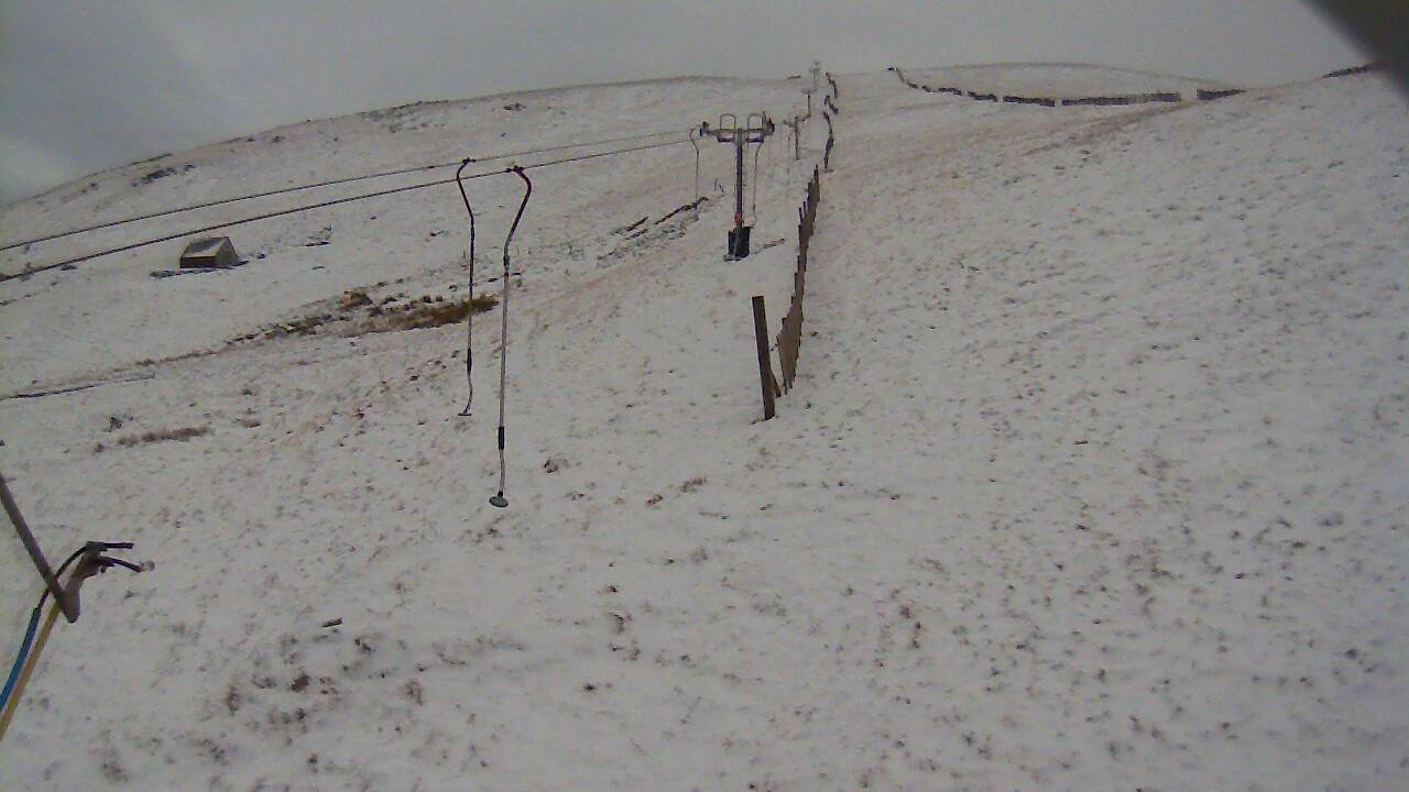 Image from 2021/11/29 for Tow Hut