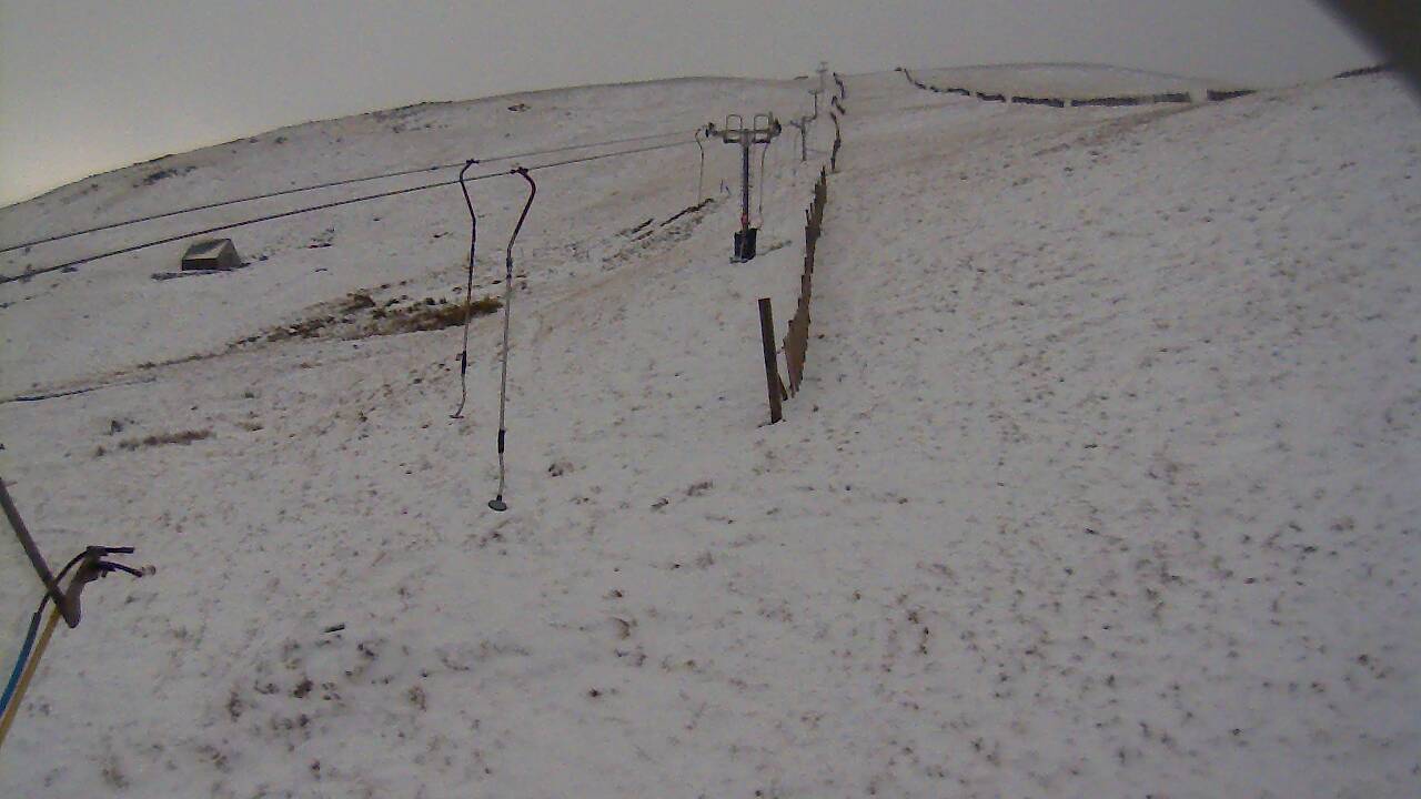 Image from 2021/11/29 for Tow Hut