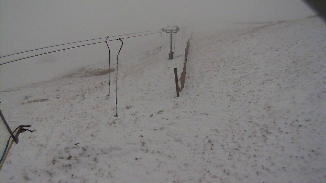 Image from 2021/11/29 for Tow Hut