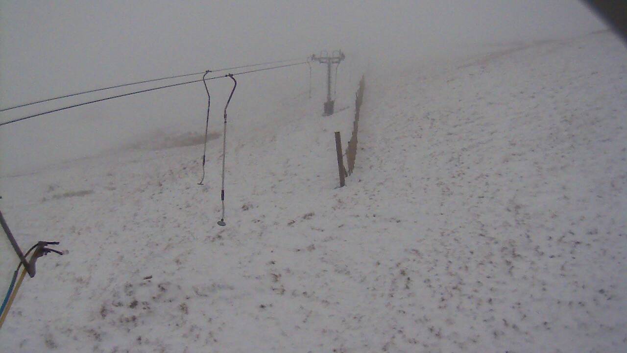 Image from 2021/11/29 for Tow Hut