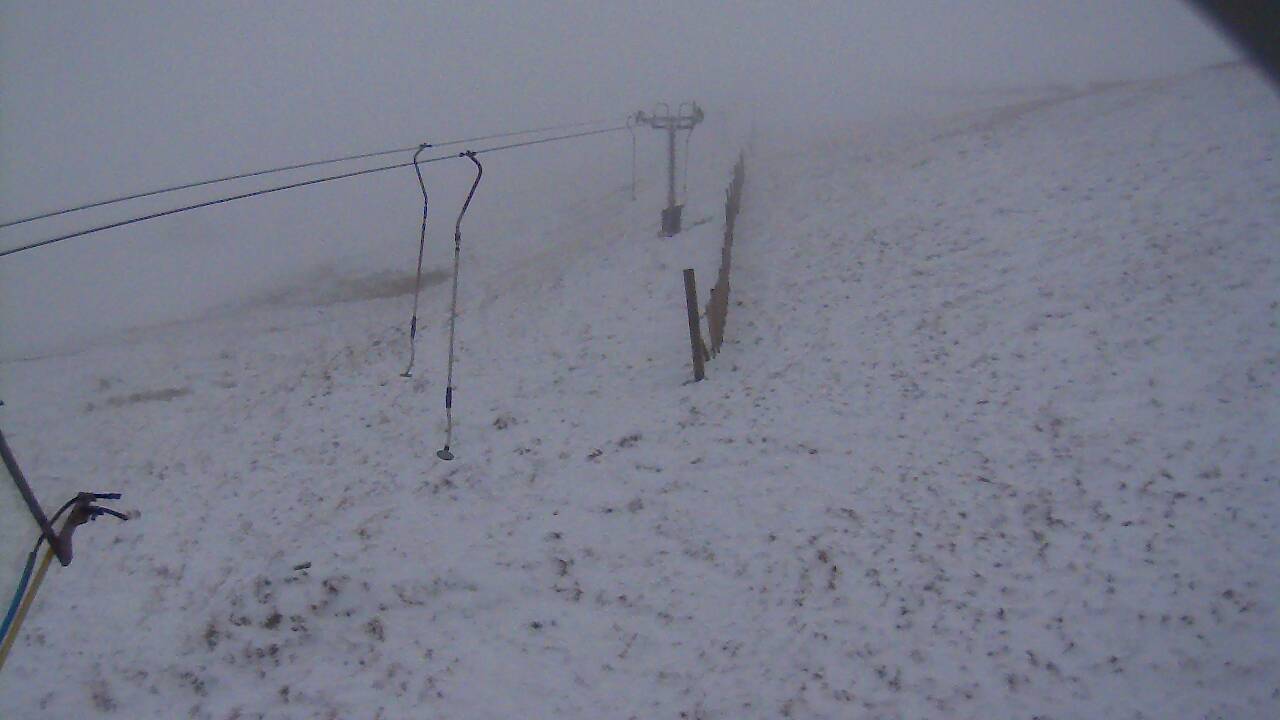 Image from 2021/11/29 for Tow Hut