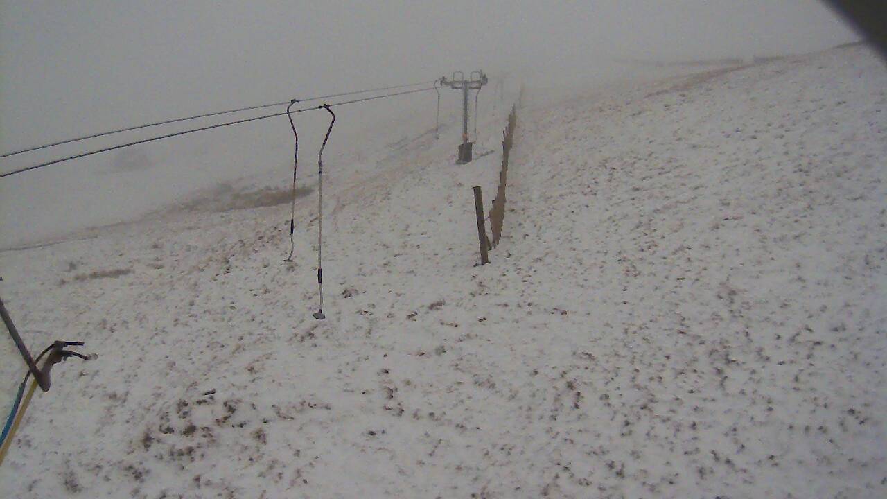 Image from 2021/11/29 for Tow Hut