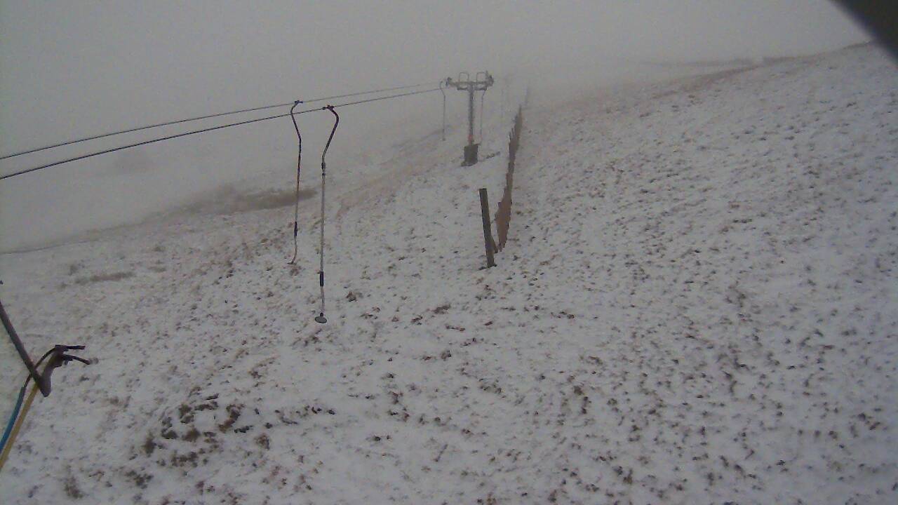 Image from 2021/11/29 for Tow Hut