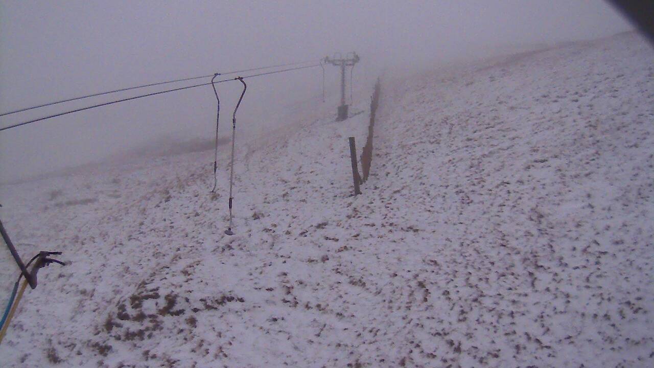 Image from 2021/11/29 for Tow Hut