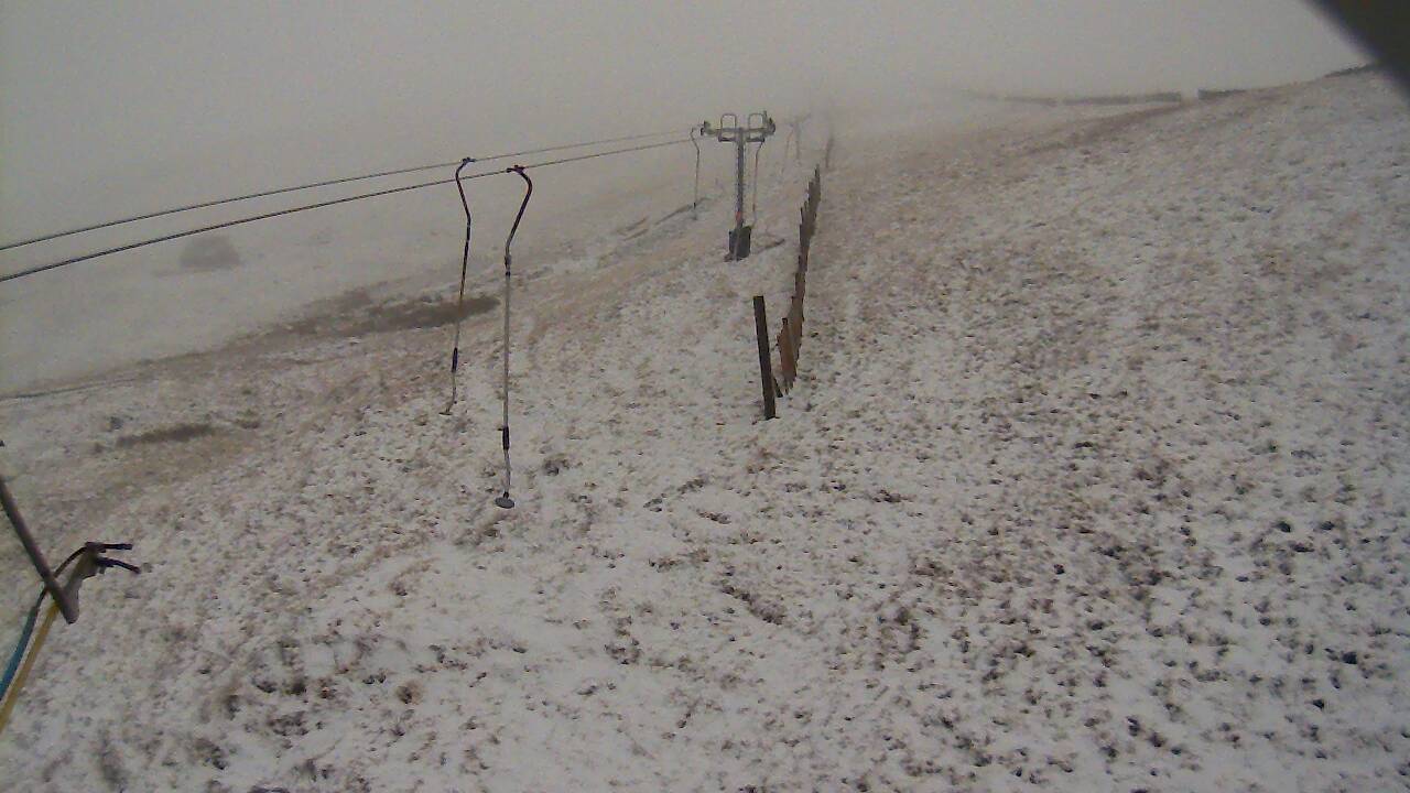 Image from 2021/12/04 for Tow Hut