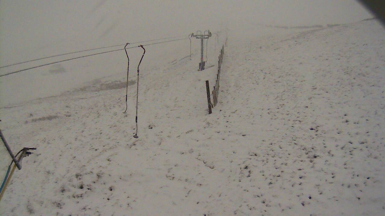 Image from 2021/12/04 for Tow Hut