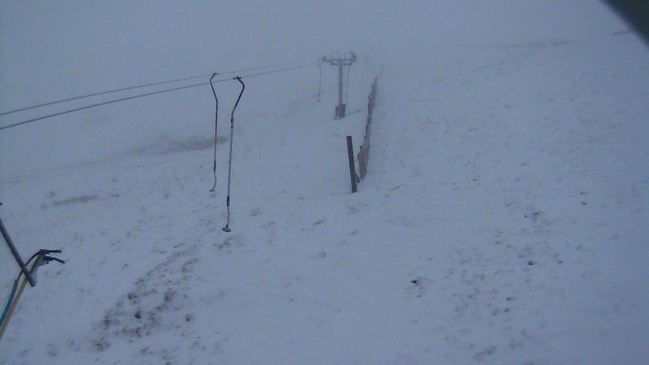 Image from 2021/12/04 for Tow Hut