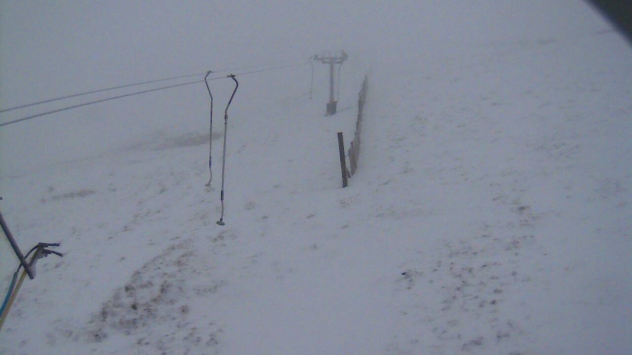 Image from 2021/12/04 for Tow Hut