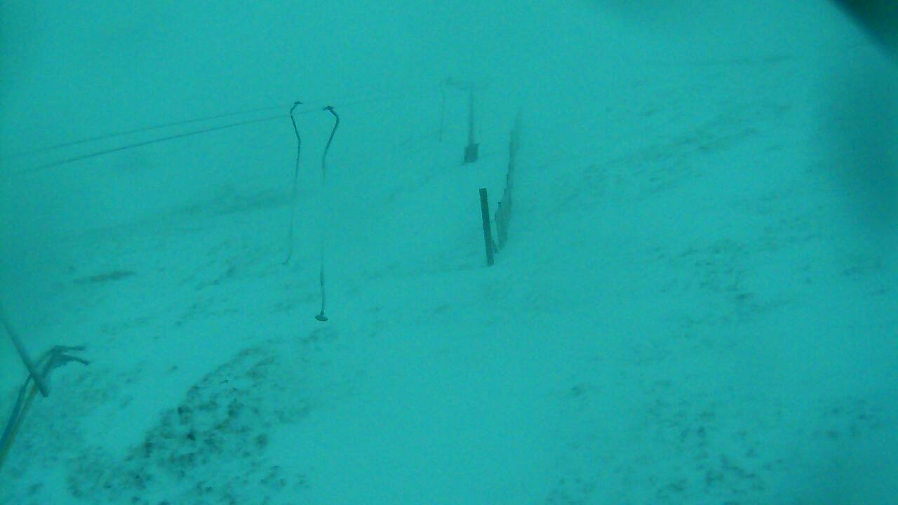 Image from 2021/12/04 for Tow Hut