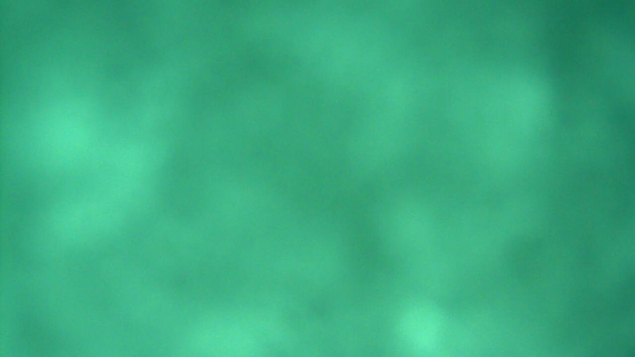 Image from 2021/12/05 for Tow Hut