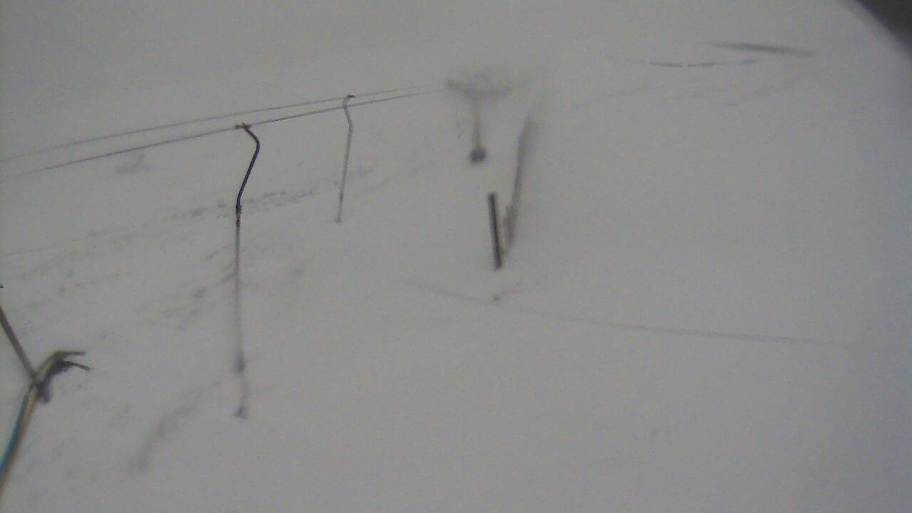 Image from 2021/12/07 for Tow Hut