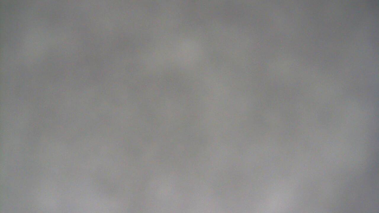 Image from 2021/12/08 for Tow Hut