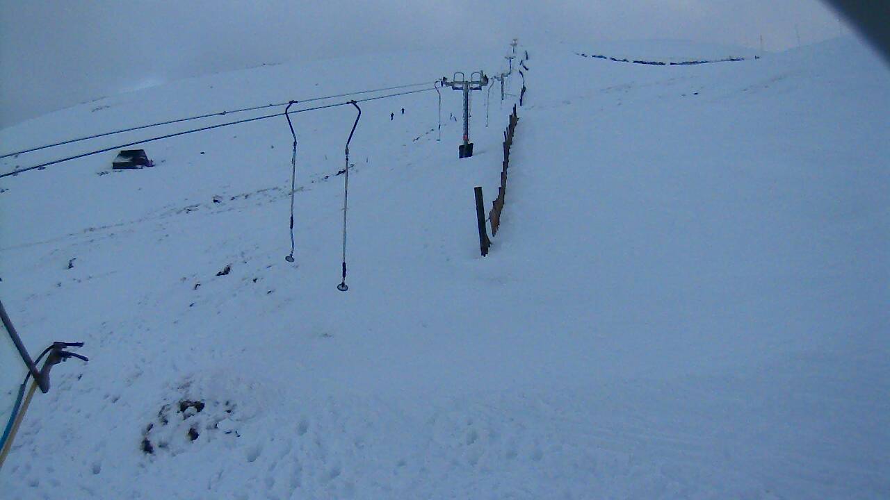 Image from 2021/12/09 for Tow Hut