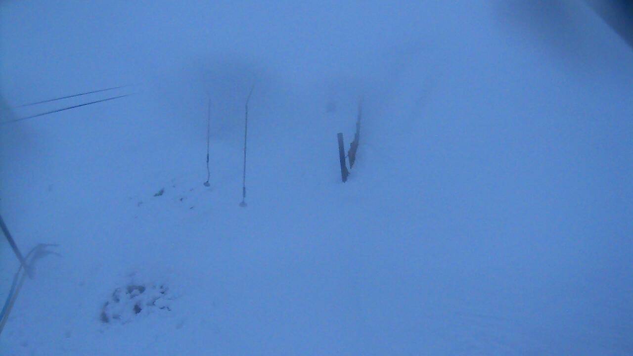 Image from 2021/12/09 for Tow Hut