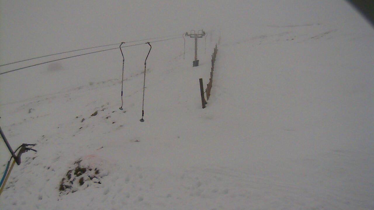 Image from 2021/12/10 for Tow Hut