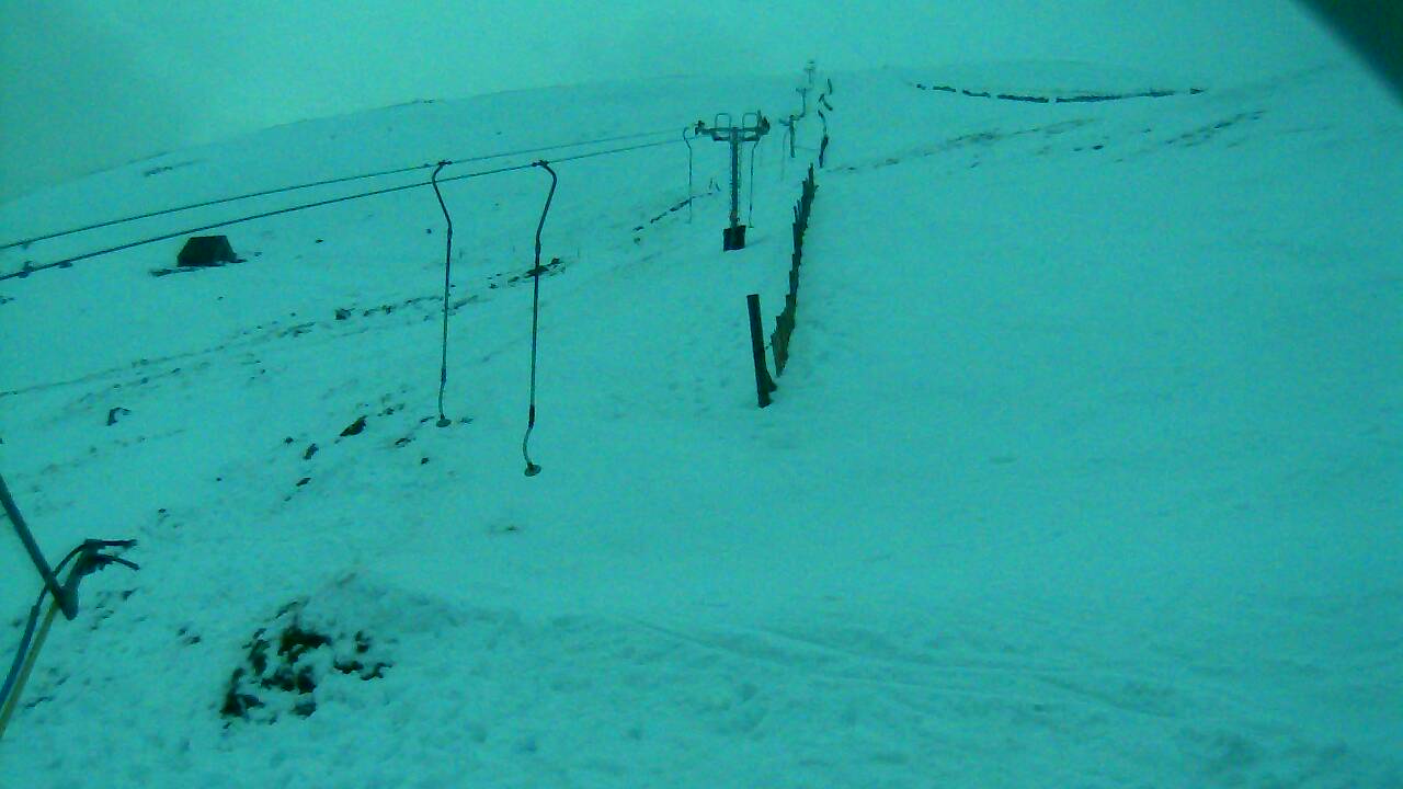 Image from 2021/12/11 for Tow Hut