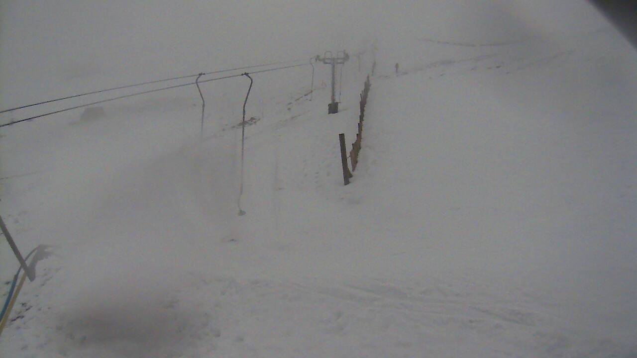 Image from 2021/12/11 for Tow Hut