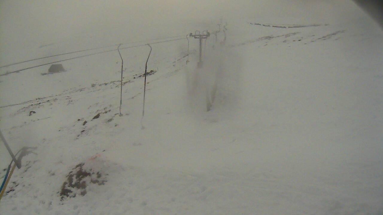 Image from 2021/12/11 for Tow Hut