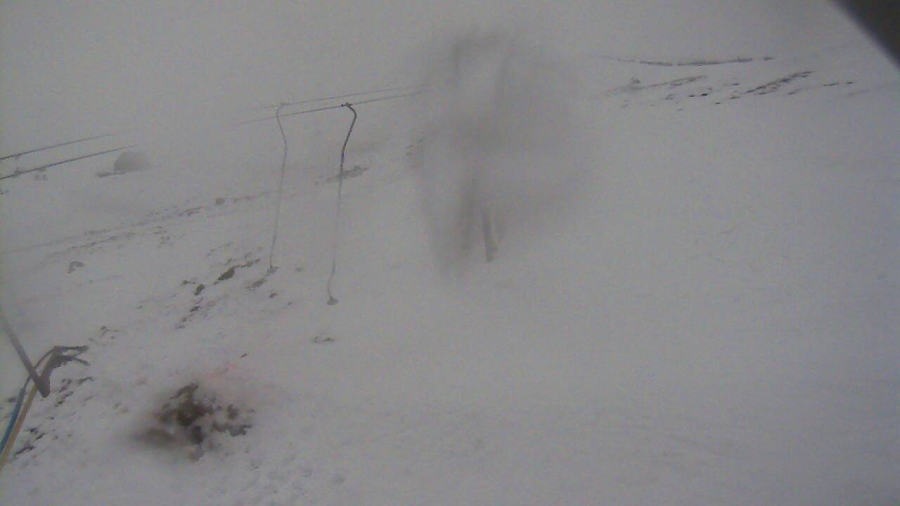 Image from 2021/12/11 for Tow Hut