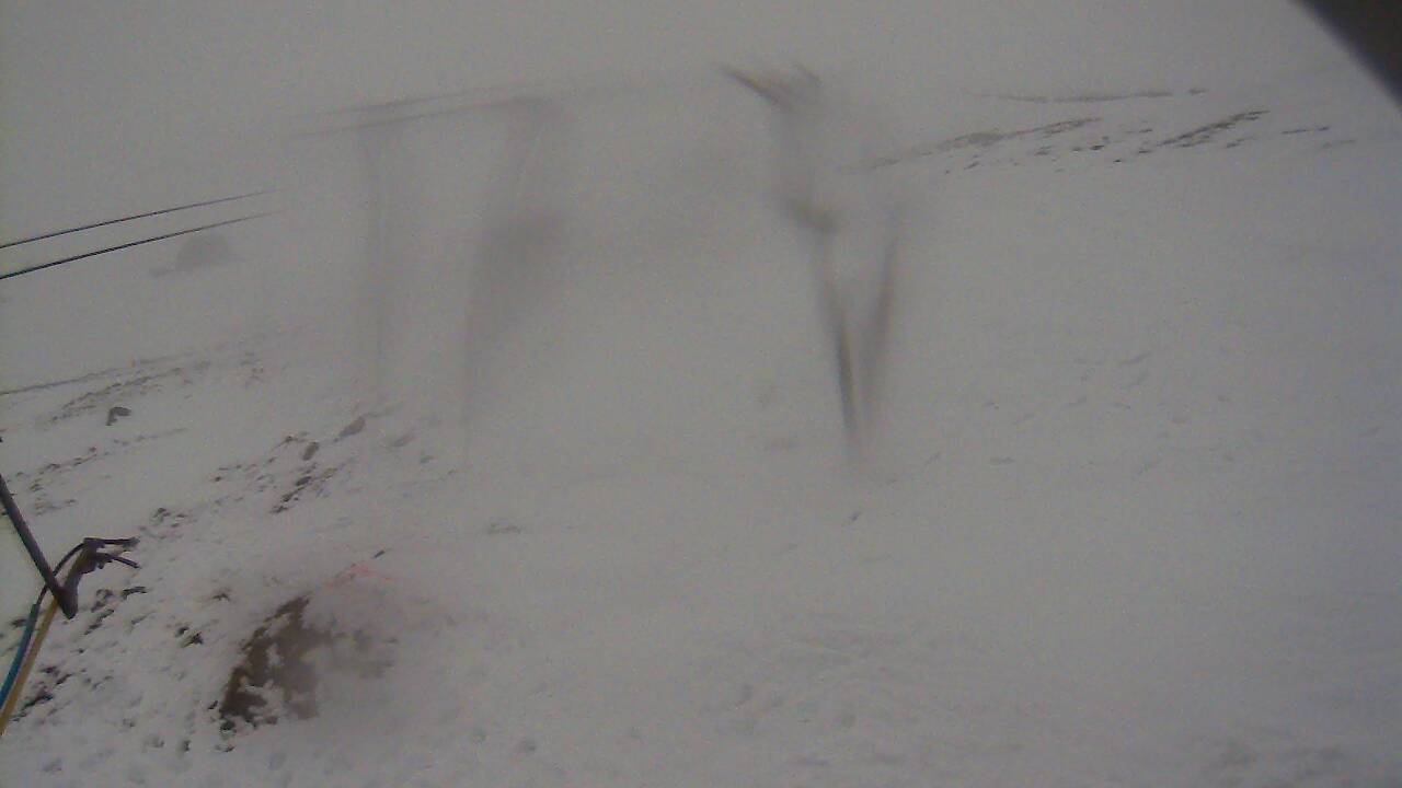 Image from 2021/12/11 for Tow Hut