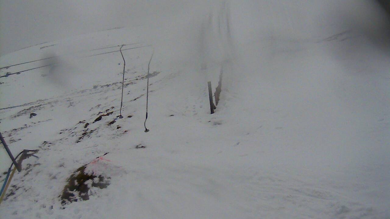 Image from 2021/12/11 for Tow Hut