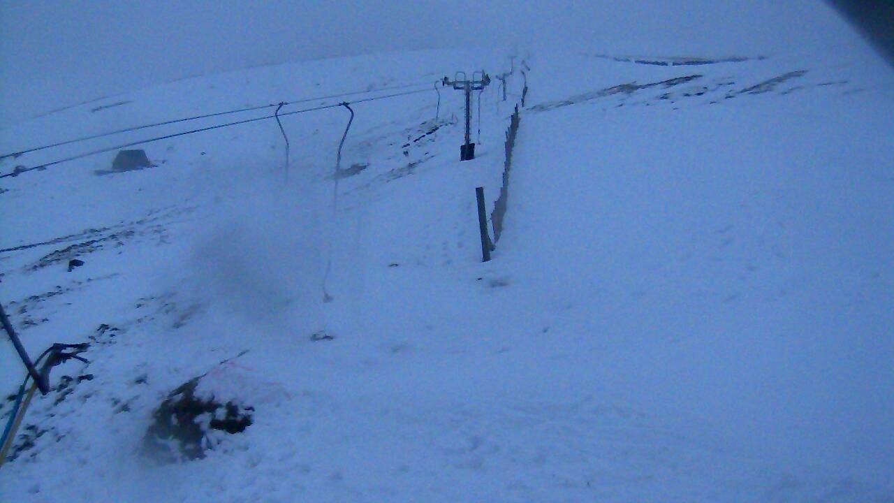 Image from 2021/12/11 for Tow Hut