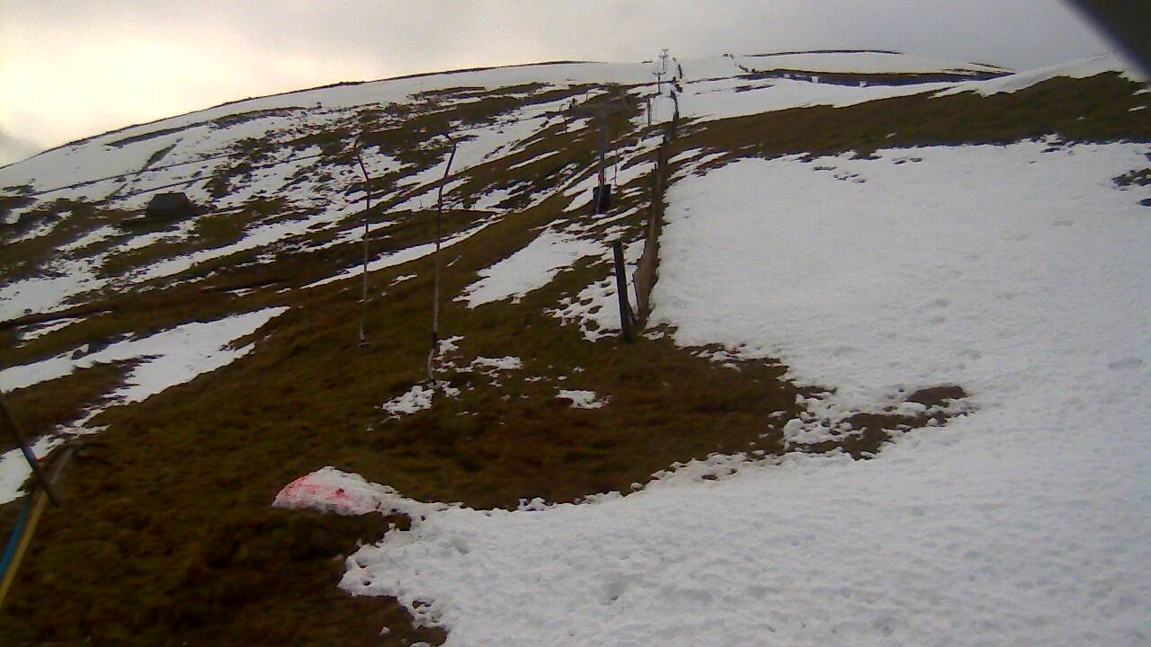 Image from 2021/12/13 for Tow Hut