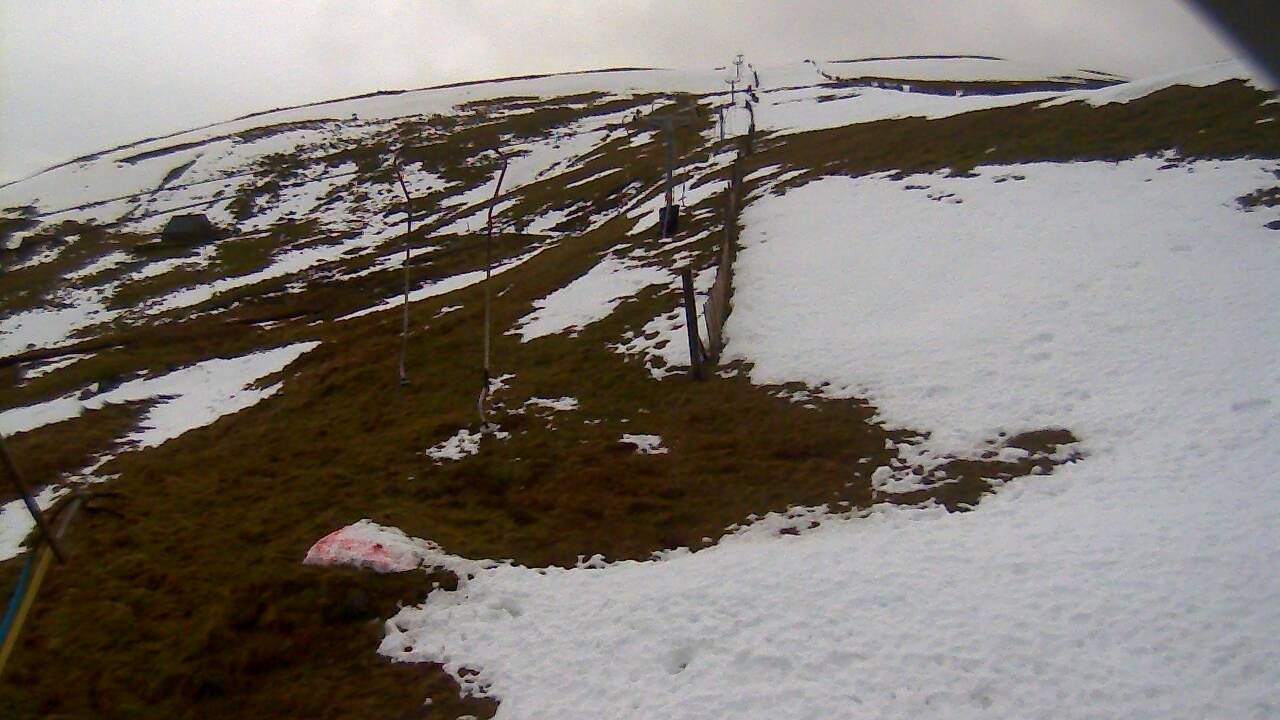 Image from 2021/12/13 for Tow Hut