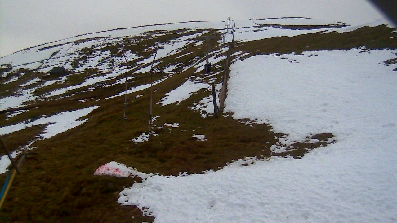 Image from 2021/12/13 for Tow Hut