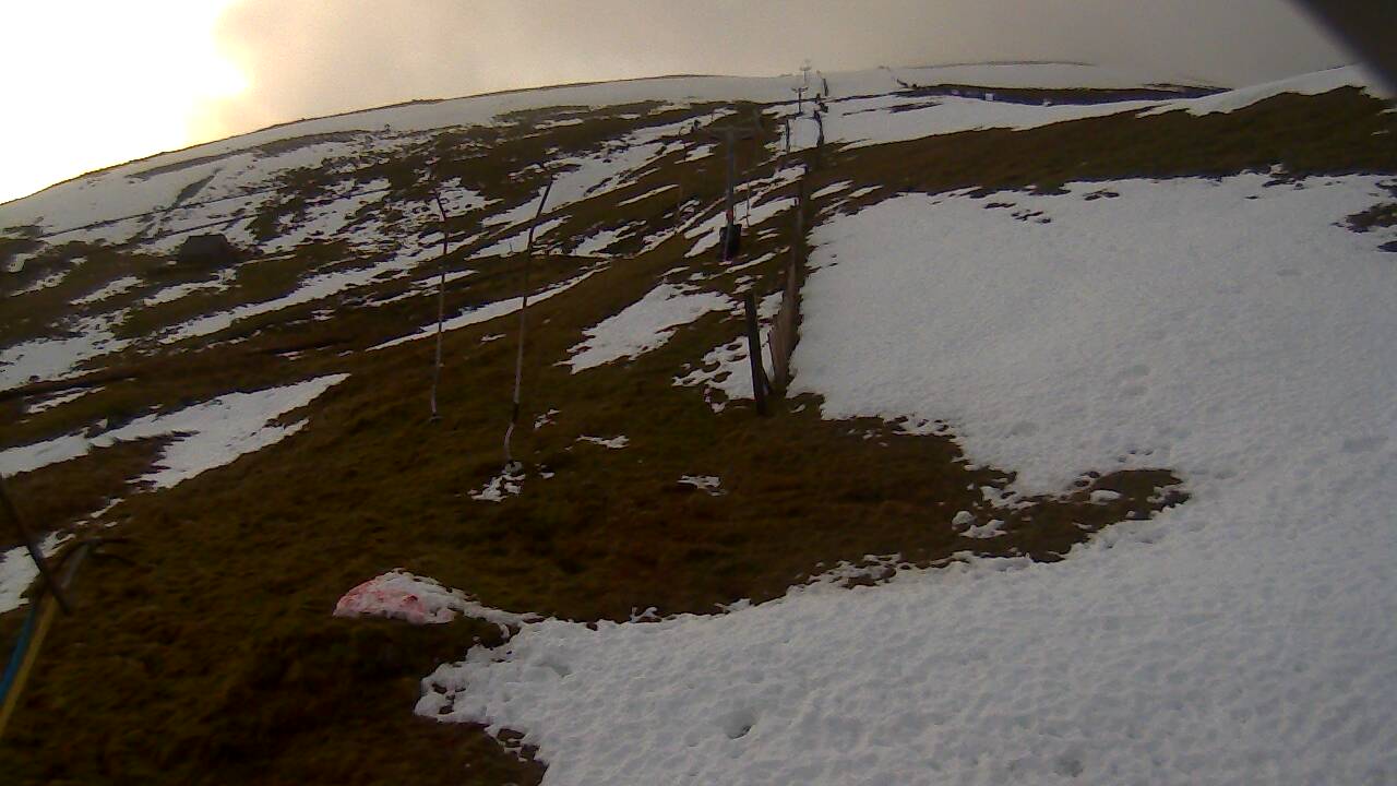 Image from 2021/12/14 for Tow Hut