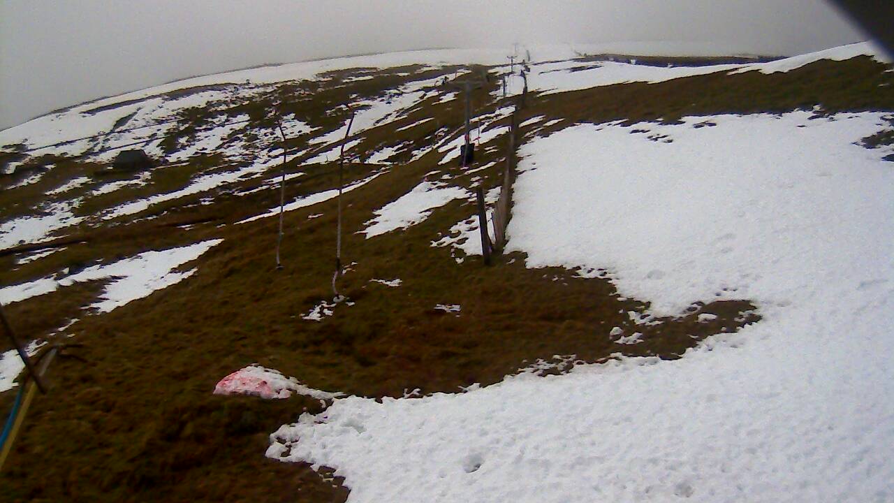 Image from 2021/12/14 for Tow Hut