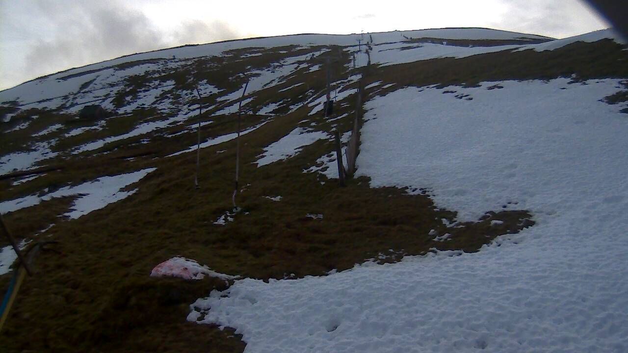 Image from 2021/12/14 for Tow Hut