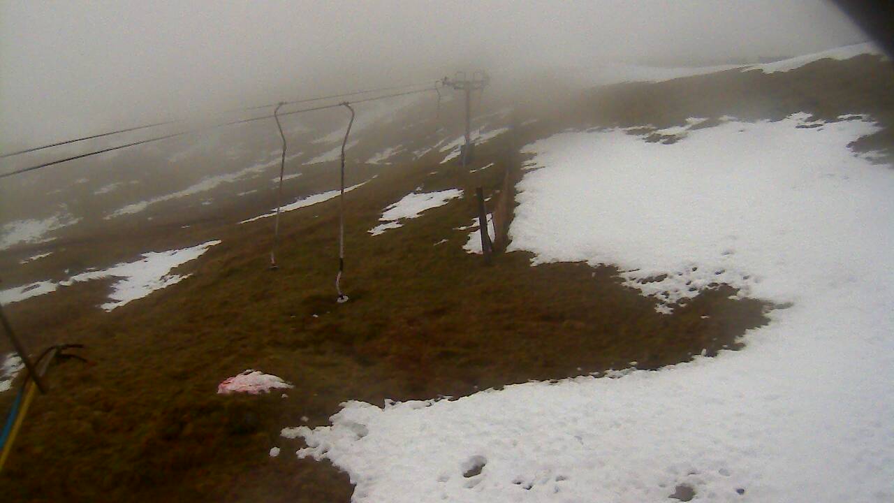 Image from 2021/12/15 for Tow Hut