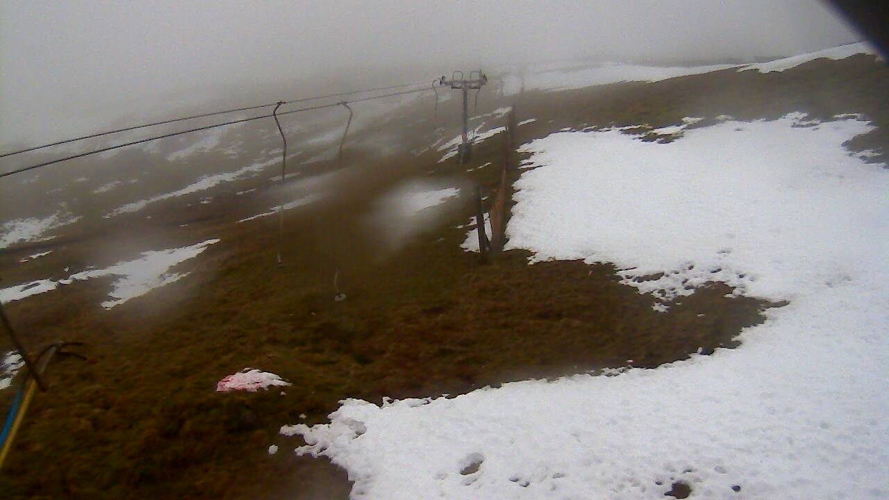 Image from 2021/12/15 for Tow Hut