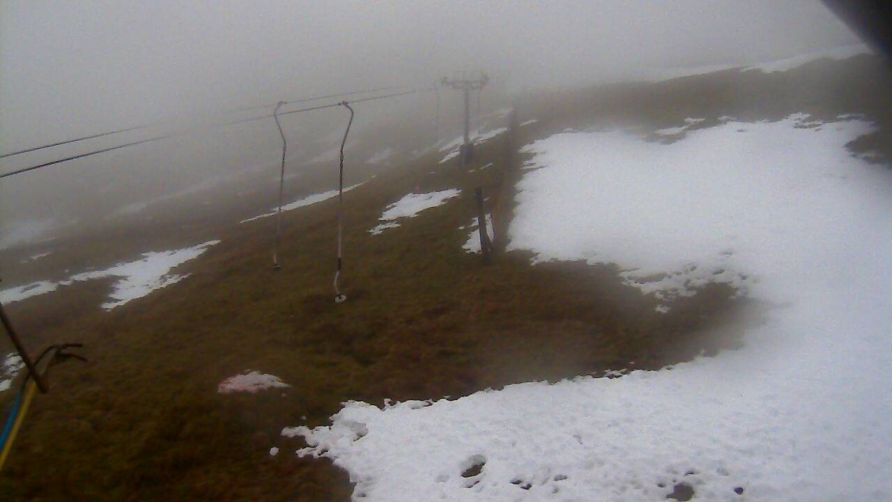 Image from 2021/12/15 for Tow Hut