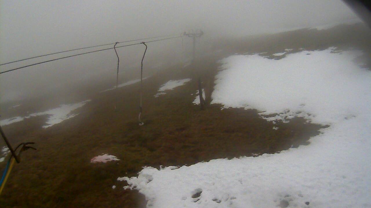 Image from 2021/12/15 for Tow Hut