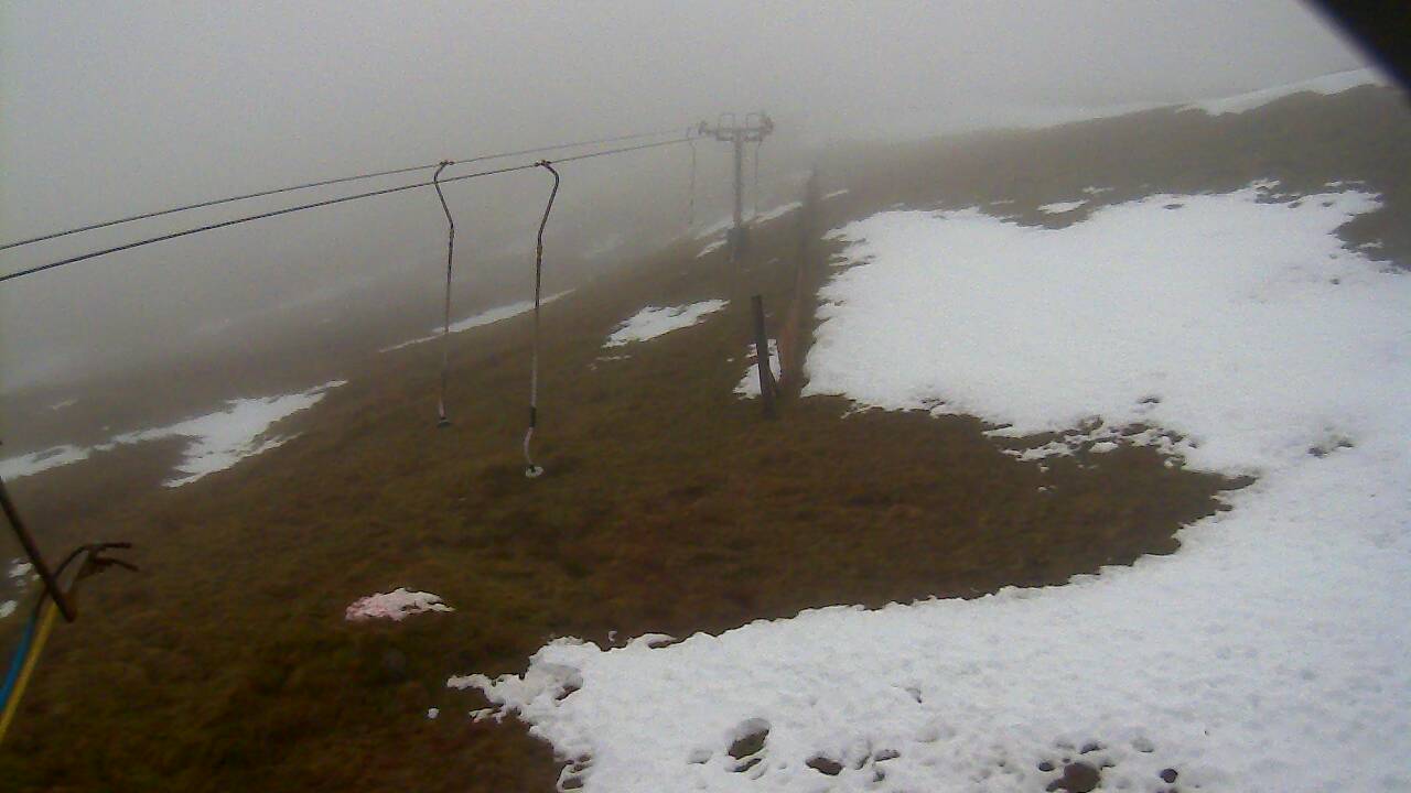 Image from 2021/12/15 for Tow Hut