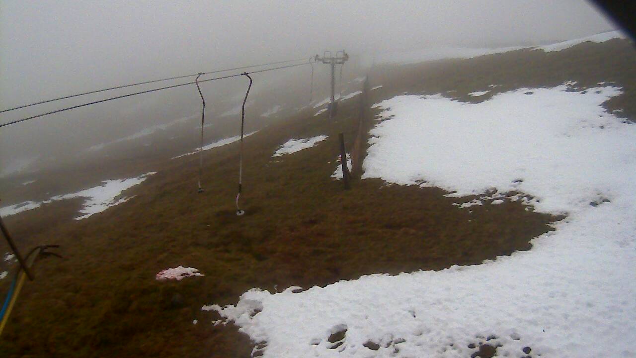 Image from 2021/12/15 for Tow Hut