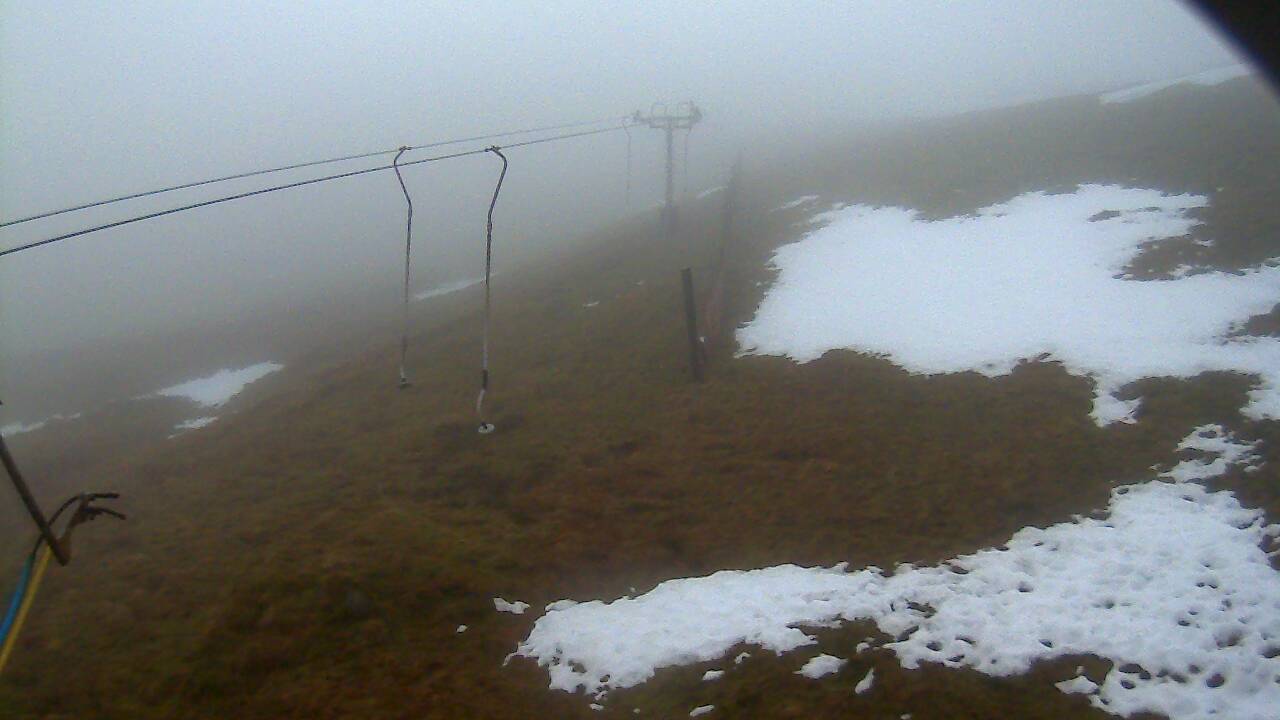 Image from 2021/12/17 for Tow Hut