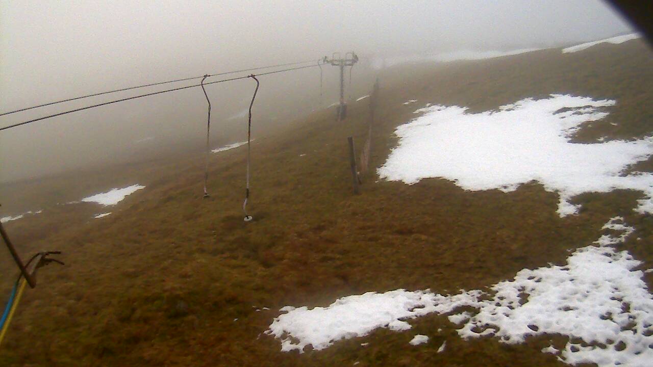 Image from 2021/12/20 for Tow Hut