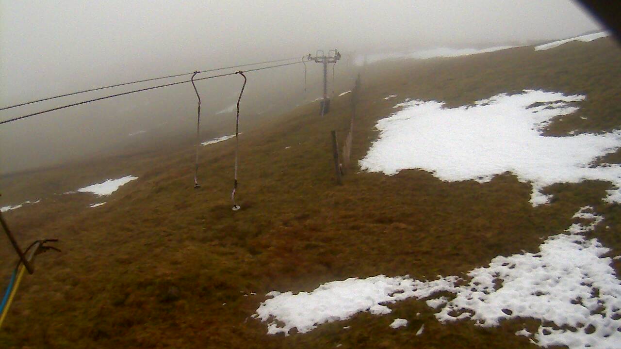 Image from 2021/12/20 for Tow Hut