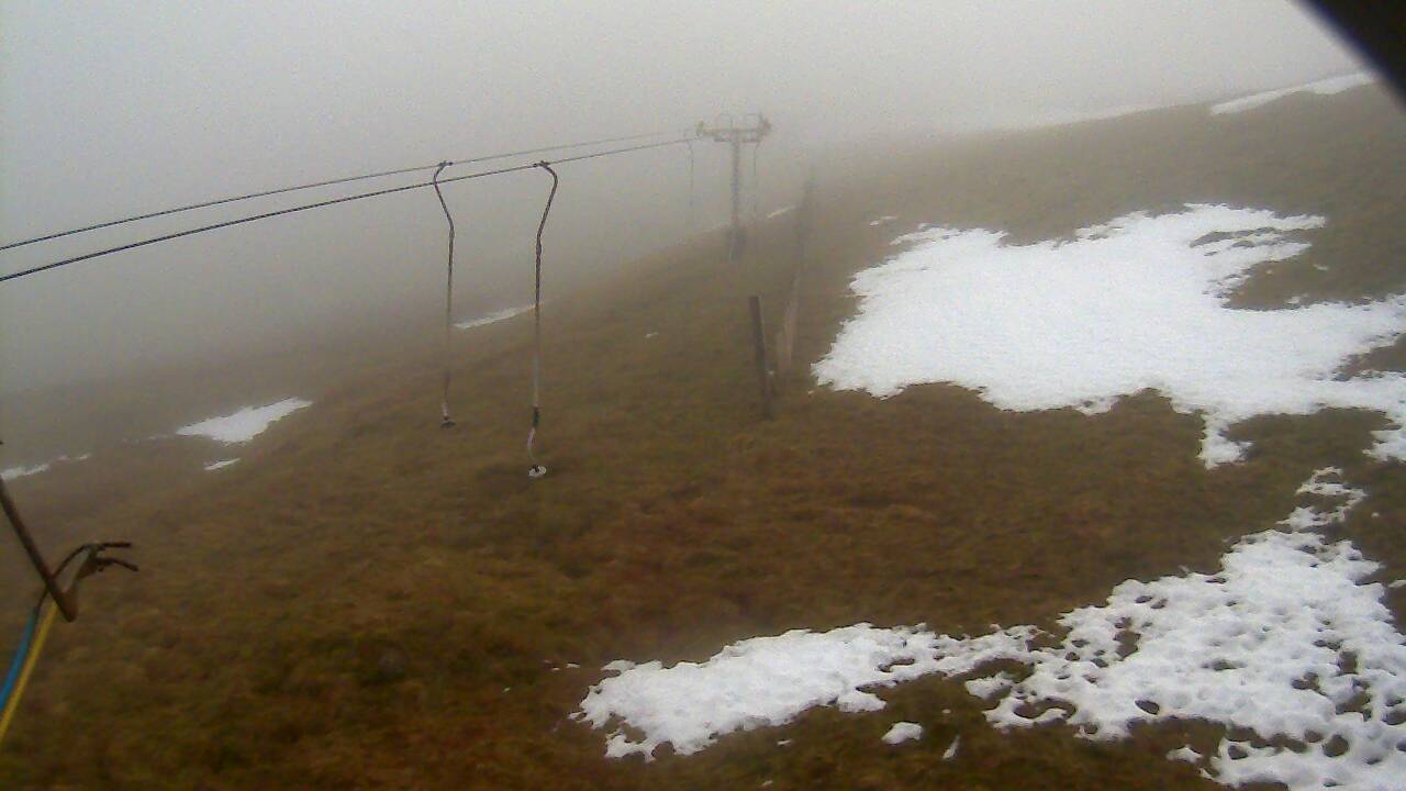 Image from 2021/12/20 for Tow Hut