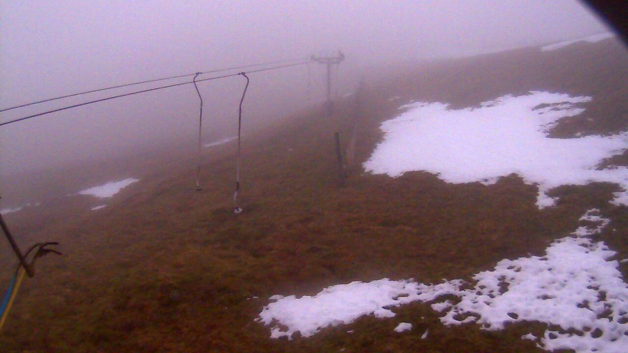 Image from 2021/12/20 for Tow Hut