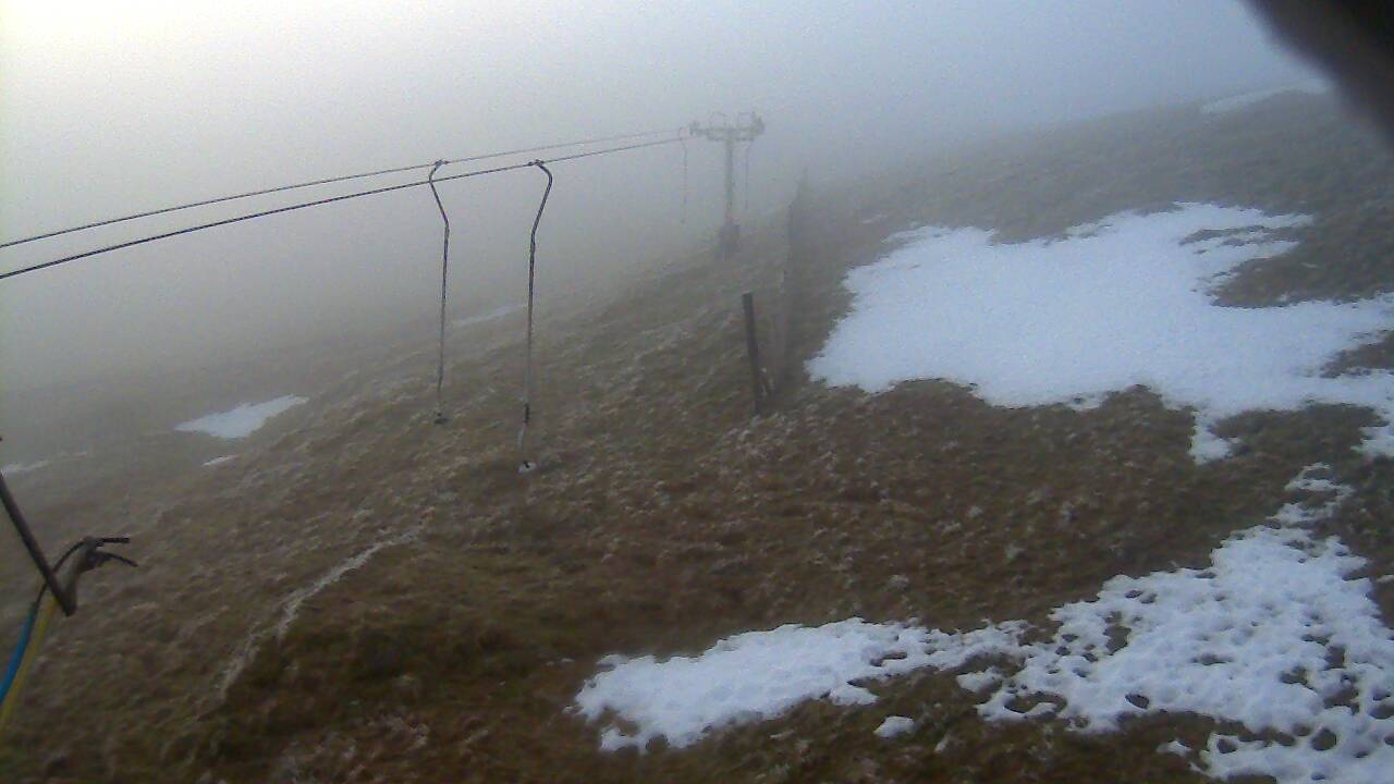 Image from 2021/12/21 for Tow Hut