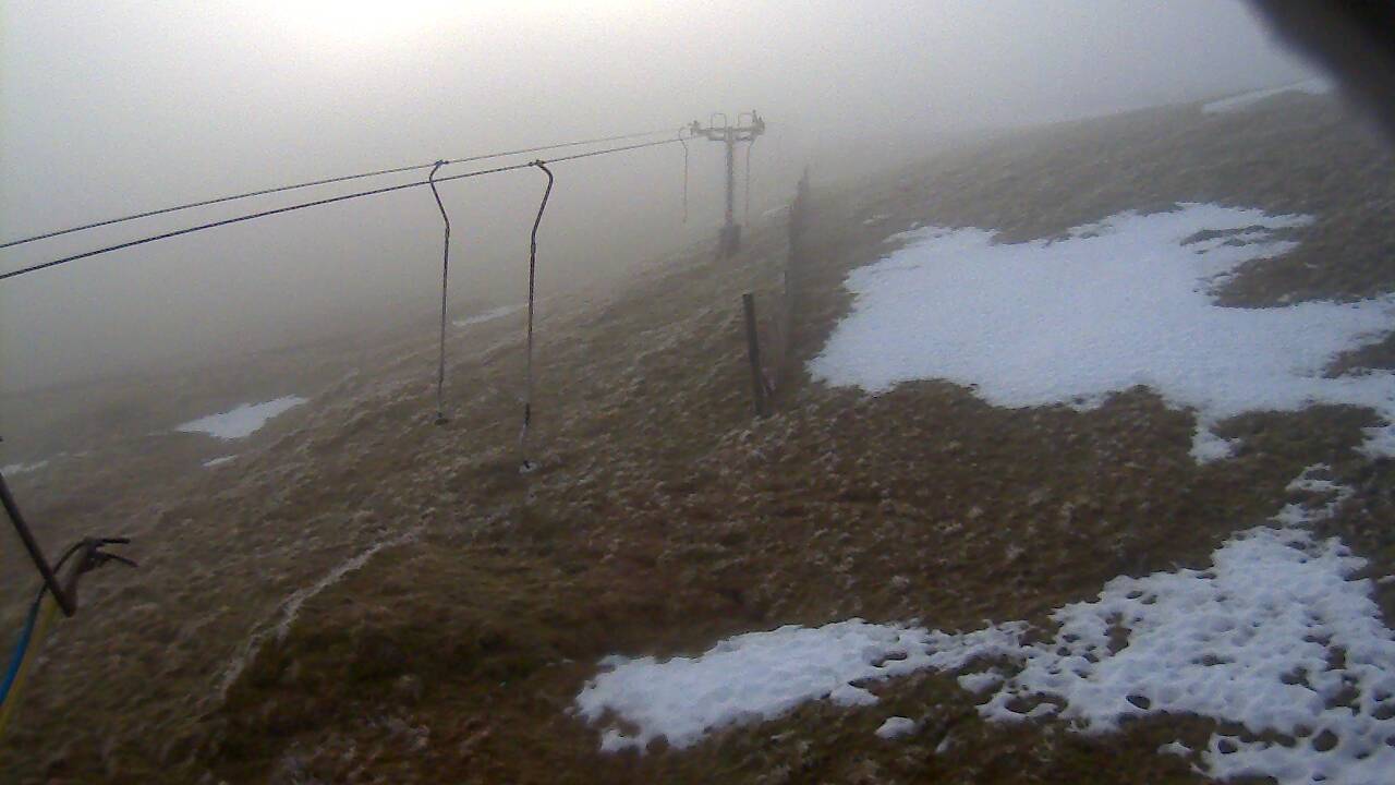 Image from 2021/12/21 for Tow Hut